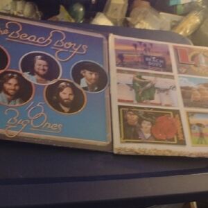The Beach Boys Vinyl Record Set